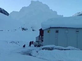 sonamarg avalanche