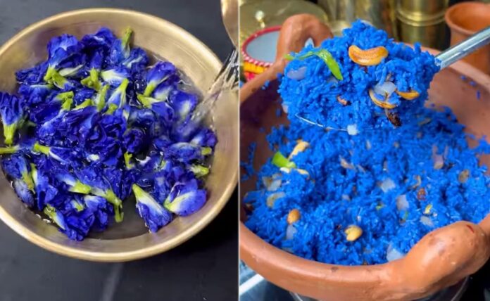 butterfly-pea-ghee-rice-viral-video blue ghee rice