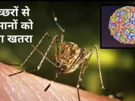 West Nile Fever kerala